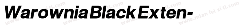 Warownia Black Exten字体转换